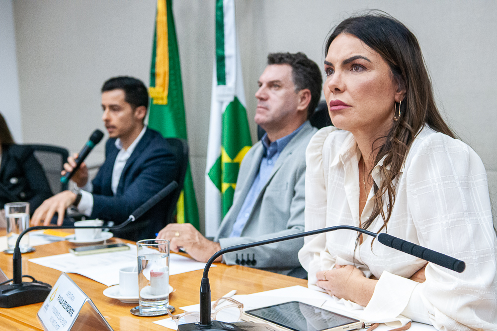 Foto: Rinaldo Morelli/ Agência CLDF