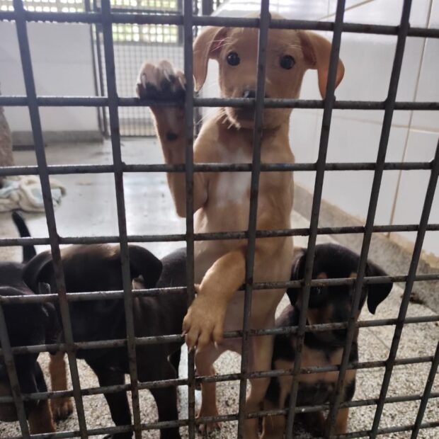 7b5541d9 50c4 45e7 a18d d0e7c389a6af