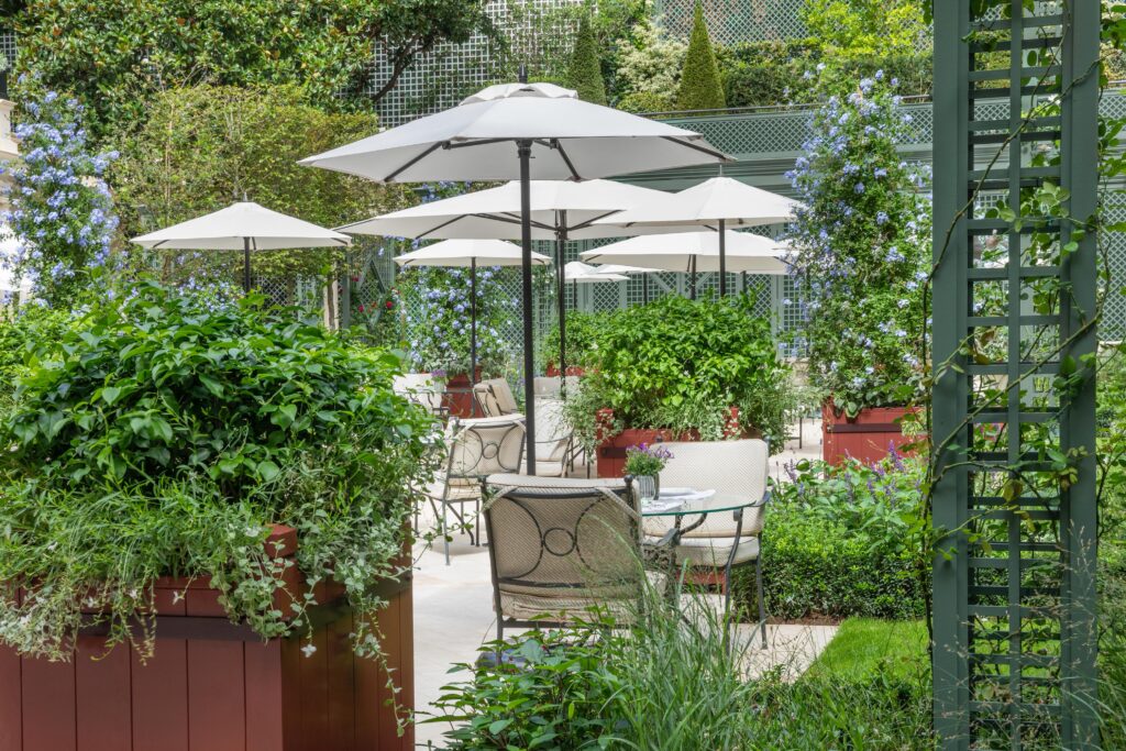 whatsapp image 2025 05 17 at 16.40.19 (1)