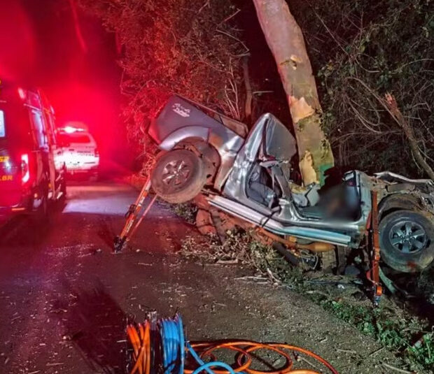 captura de tela 2025 05 19 082233 (1)