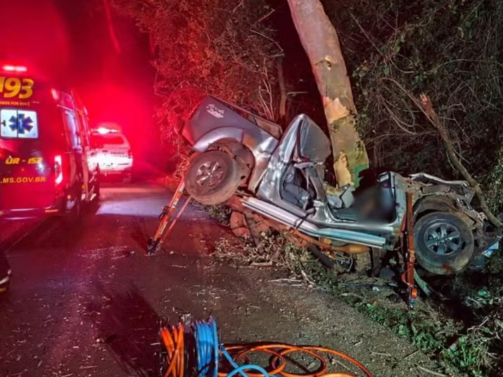 captura de tela 2025 05 19 082233 (1)