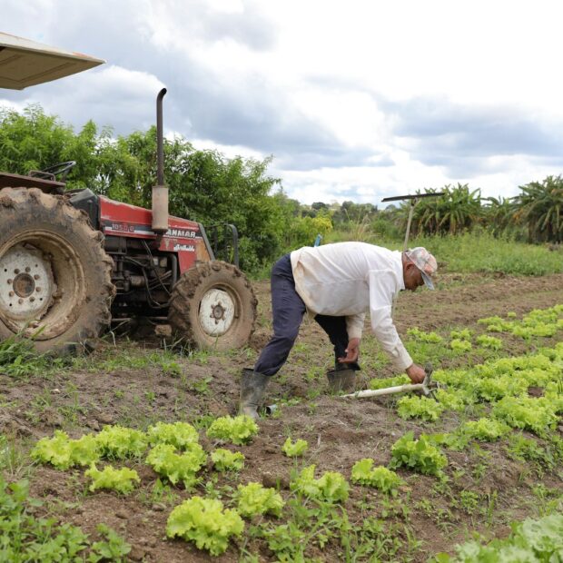19.5. para matéria etr. foto matheus h. souza 2 agência brasília
