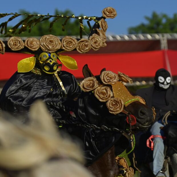 whatsapp image 2025 05 19 at 14.34.13