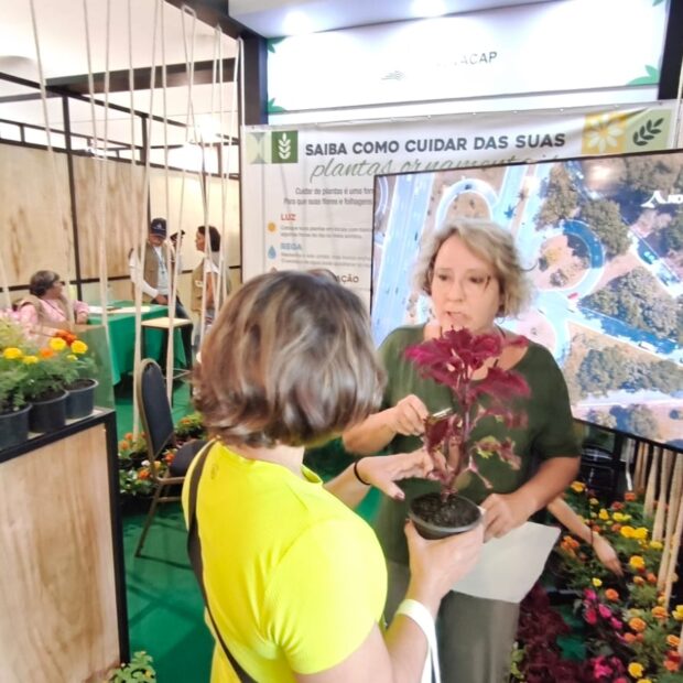 agrobrasilia
