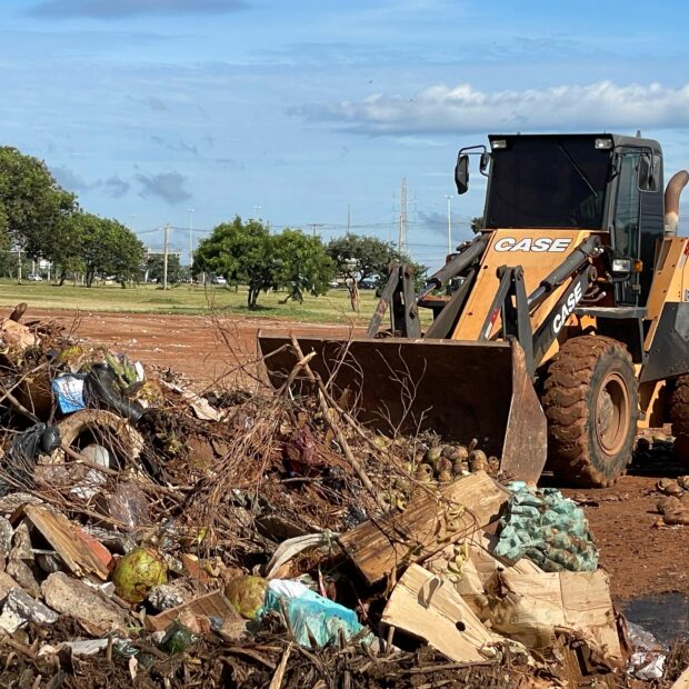 limpeza vicente pires
