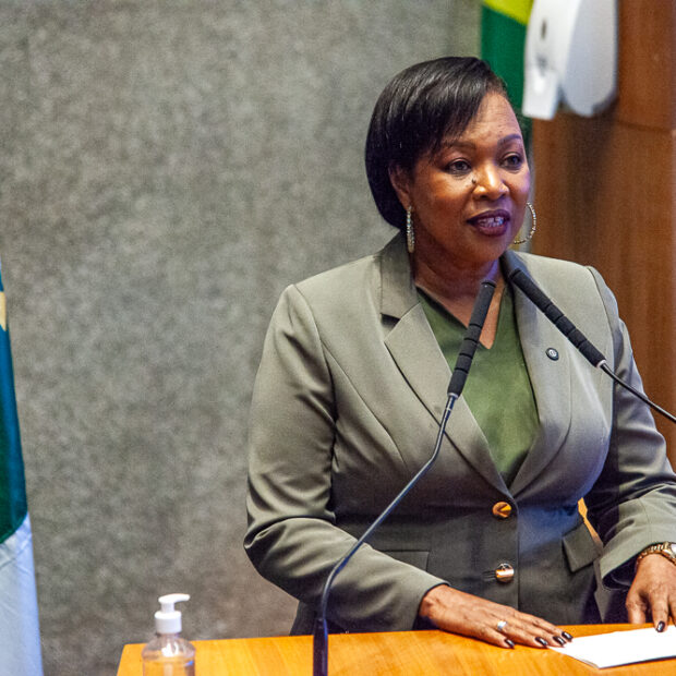 Foto: Carolina Curi/ Agência CLDF