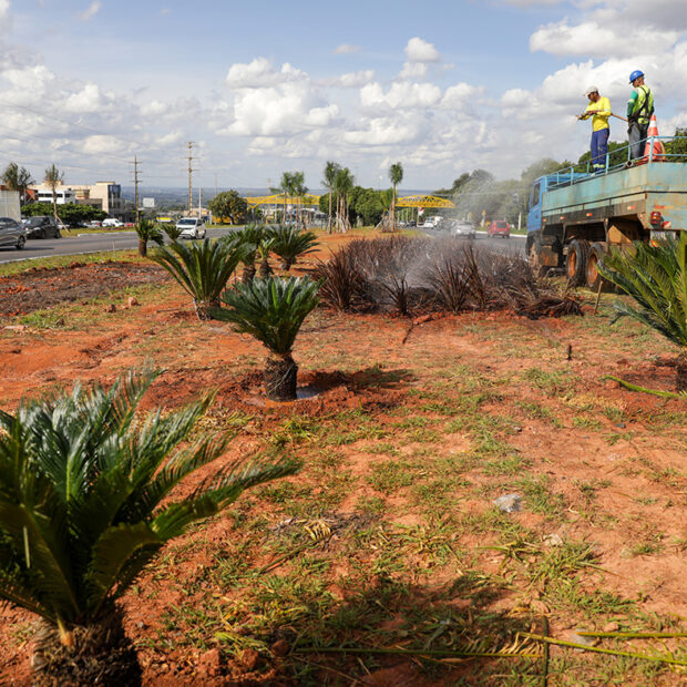 Foto: Geovana Albuquerque/Agência Brasília