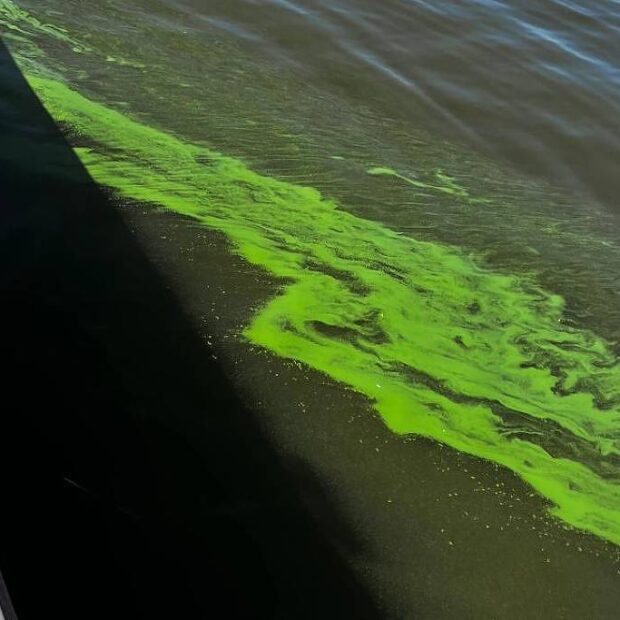 1747870023682e61470c9a5 1747870023 3x2 lg