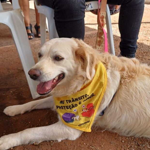 Foto: Divulgação/Detran-DF