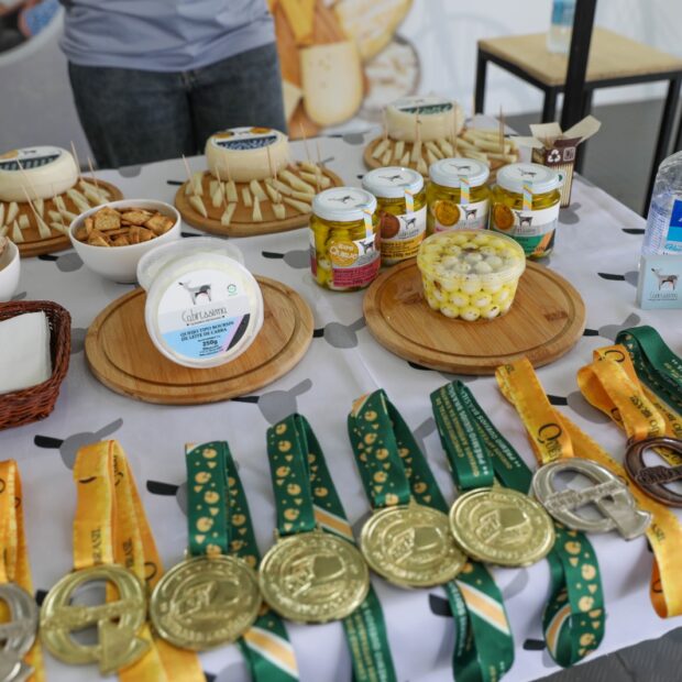 Fotos: Lúcio Bernardo Jr./Agência Brasília