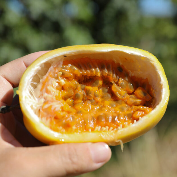 54544785738 9f2f5df62b k