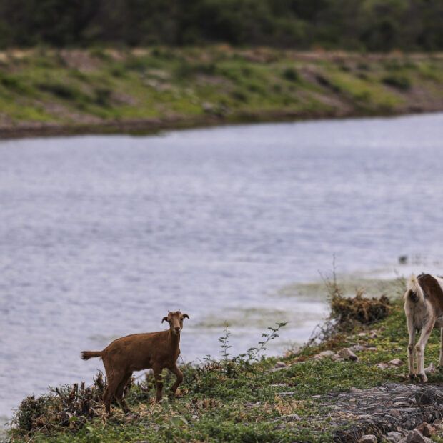 caminho das Águas, transposição do rio são francisco cabrobó (pe). (1)
