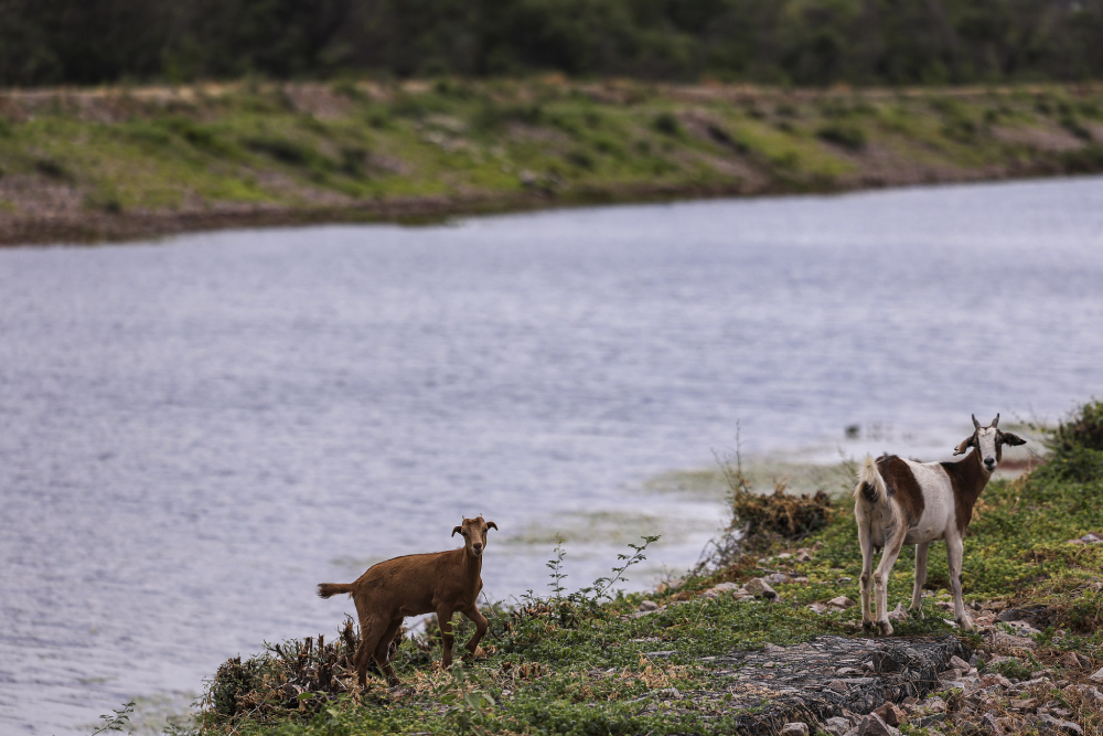 caminho das Águas, transposição do rio são francisco cabrobó (pe). (1)
