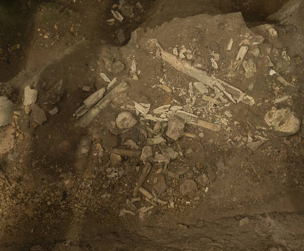 17202315036688a64f5bee1 1720231503 3x2 md