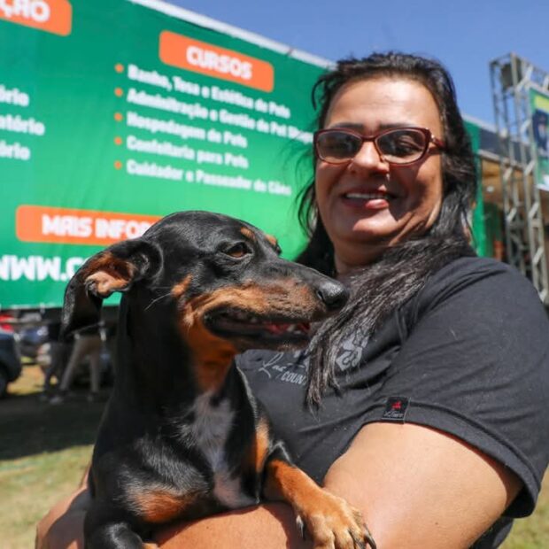 cachorro animal castraçao