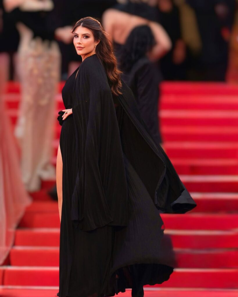 snapins ai 3639172876813237754