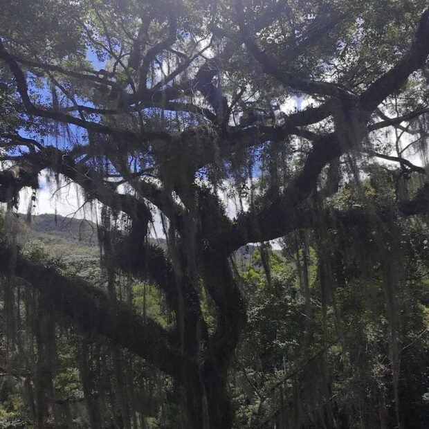 whatsapp image 2025 05 27 at 18.53.30