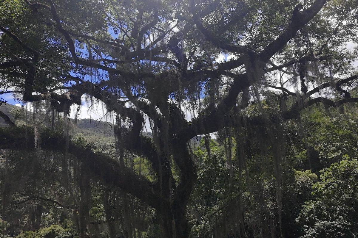 whatsapp image 2025 05 27 at 18.53.30