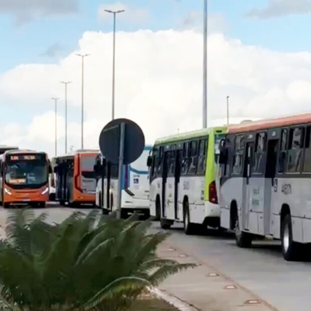 boulevard do rei pelé