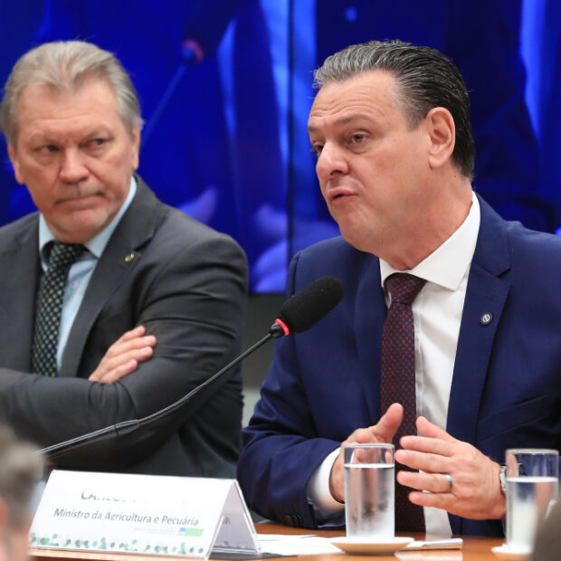 ministro carlos fávaro, na comissão de agricultura pecuária. (1)