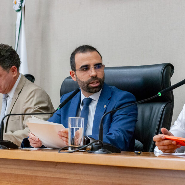 comissão de constituição e justiça – ccj