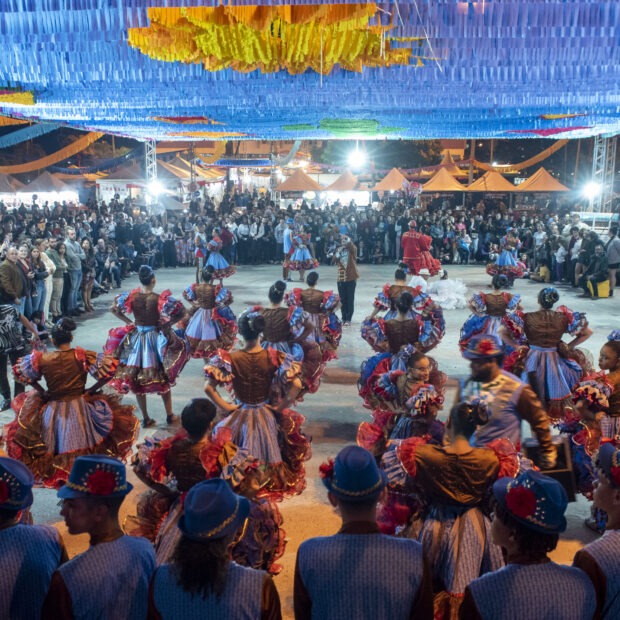 foto caranguejo do cerrado reprodução grande são joão do guará (5)