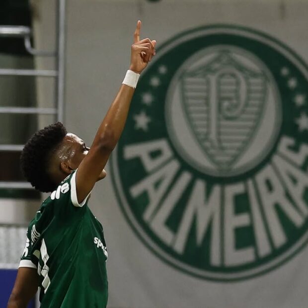 snapins ai 3642890104856768862