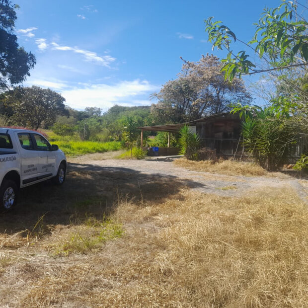 Foto: Divulgação/Seagri-DF