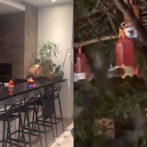 imagem do whatsapp de 2025 05 29 à(s) 16.33.52 5858b4f6