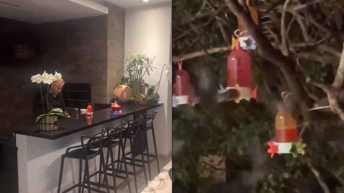 imagem do whatsapp de 2025 05 29 à(s) 16.33.52 5858b4f6