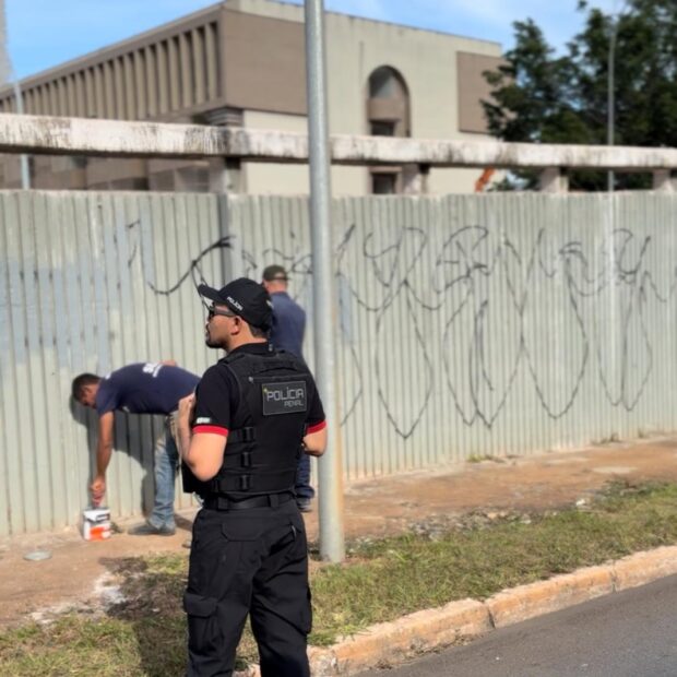 Foto: Divulgação/Seape-DF
