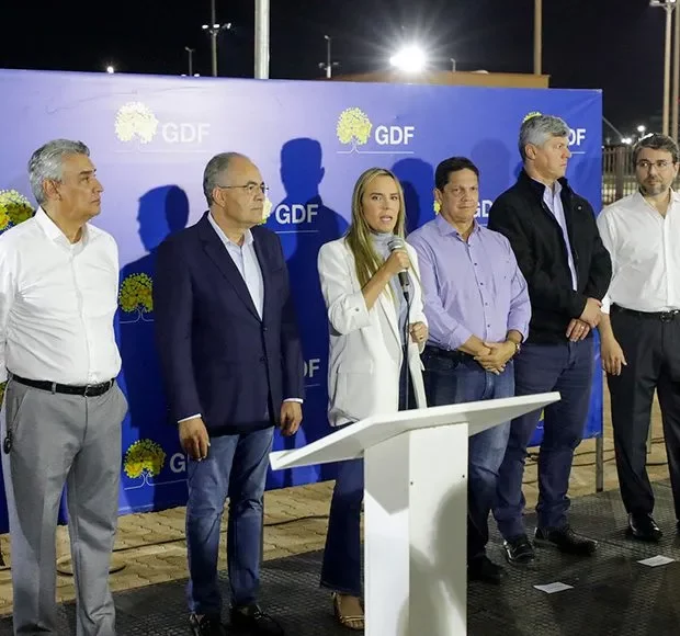 celina leao luminarias 1068x580