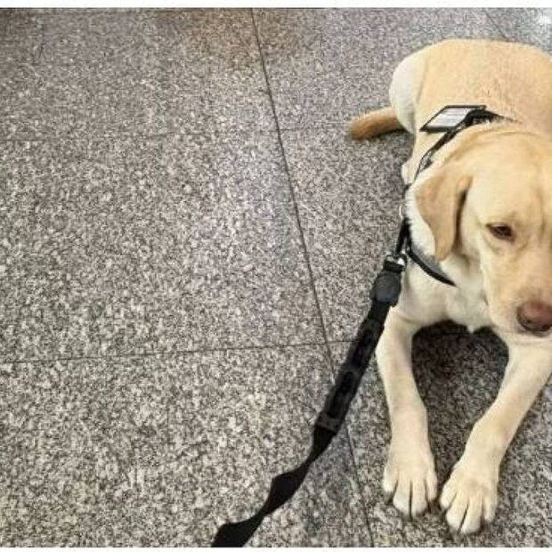 whatsapp image 2025 05 30 at 19.02.07