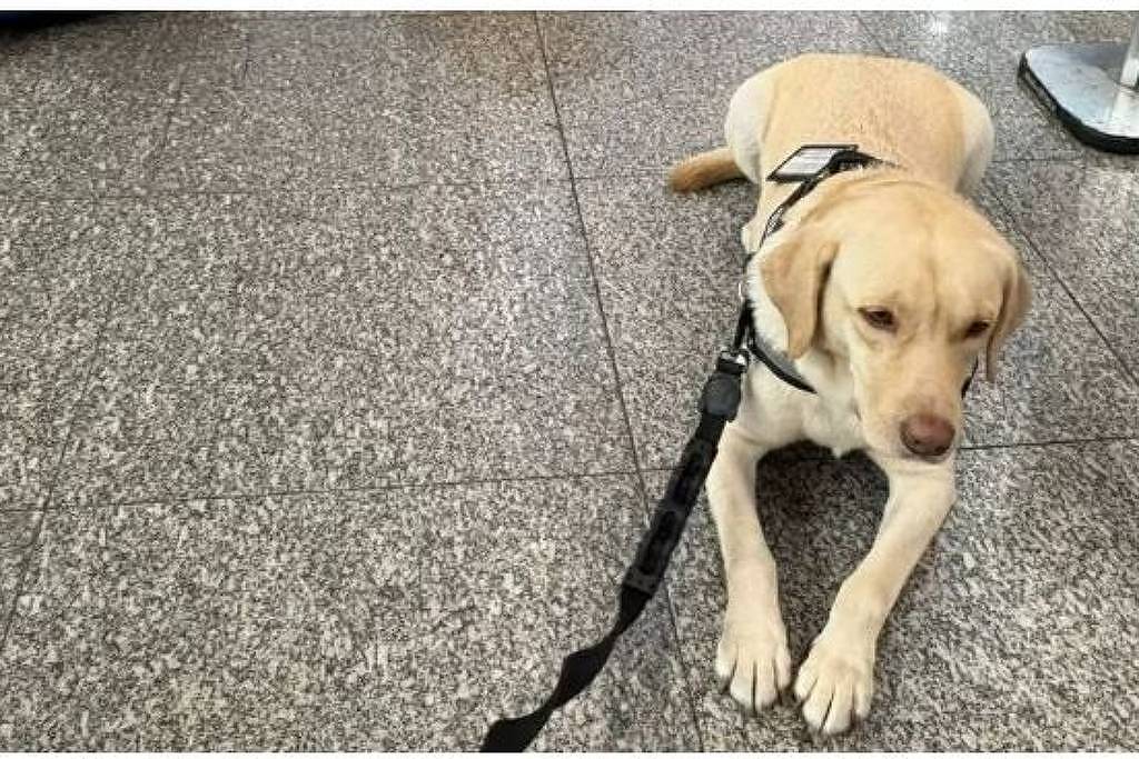 whatsapp image 2025 05 30 at 19.02.07