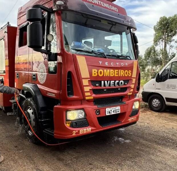 barreira gripe aviária