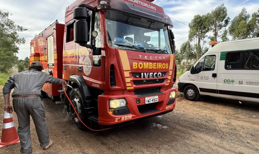 barreira gripe aviária