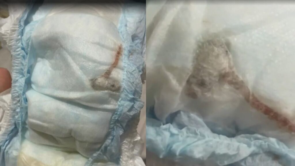 imagem do whatsapp de 2025 06 02 à(s) 14.38.58 63828ad8