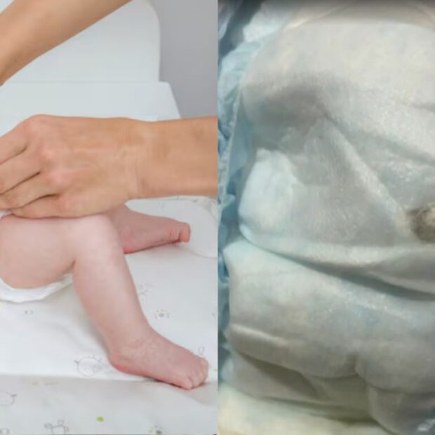 imagem do whatsapp de 2025 06 02 à(s) 14.38.58 1662a168