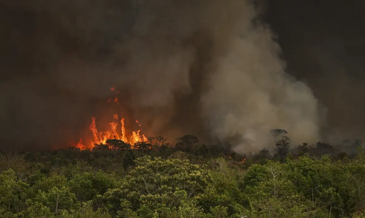 incendio florestal parque nacional