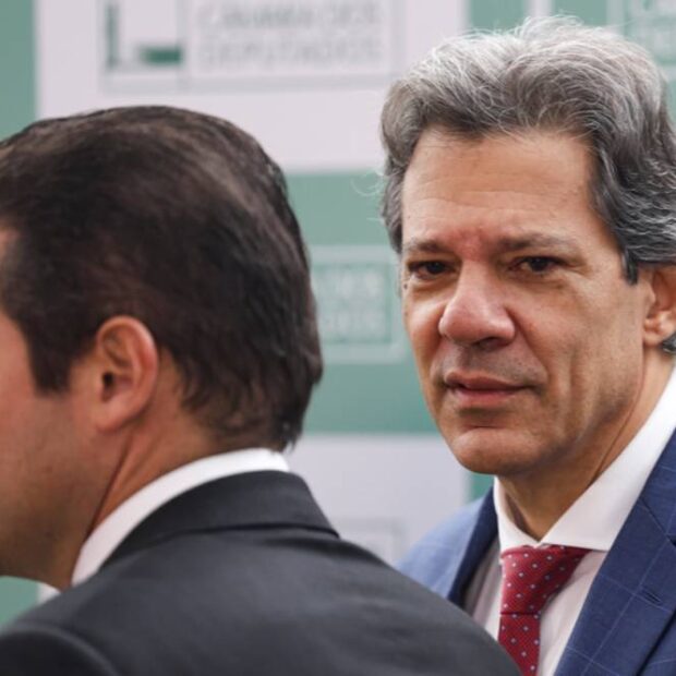 haddad 6