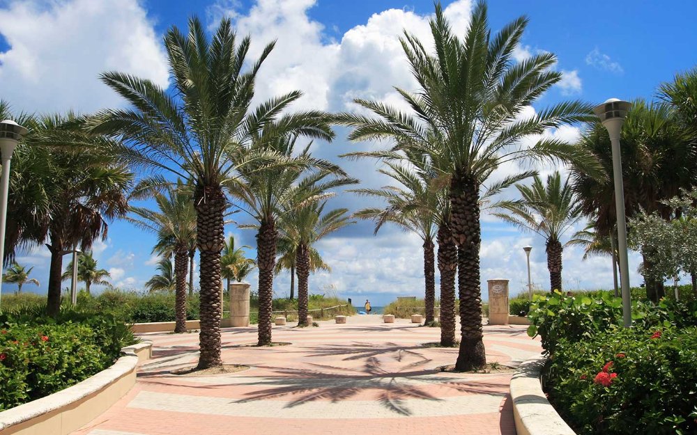 path to beach 1440x900 1