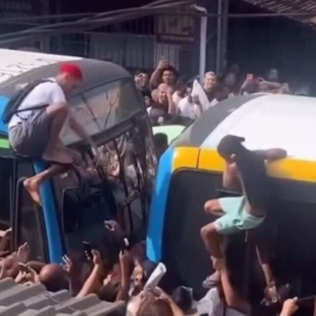 imagem do whatsapp de 2025 06 03 à(s) 16.26.16 851b5a15