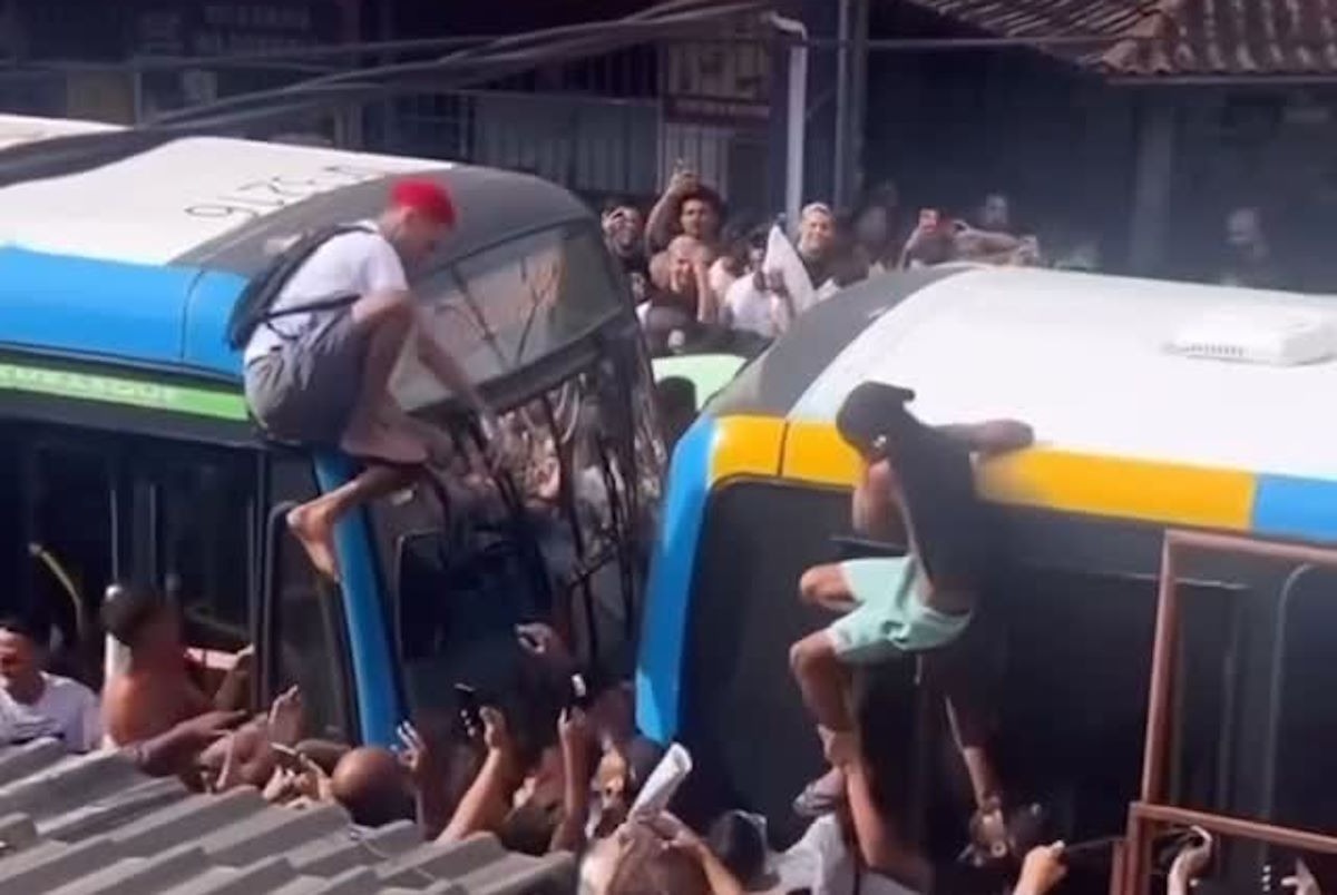 imagem do whatsapp de 2025 06 03 à(s) 16.26.16 851b5a15