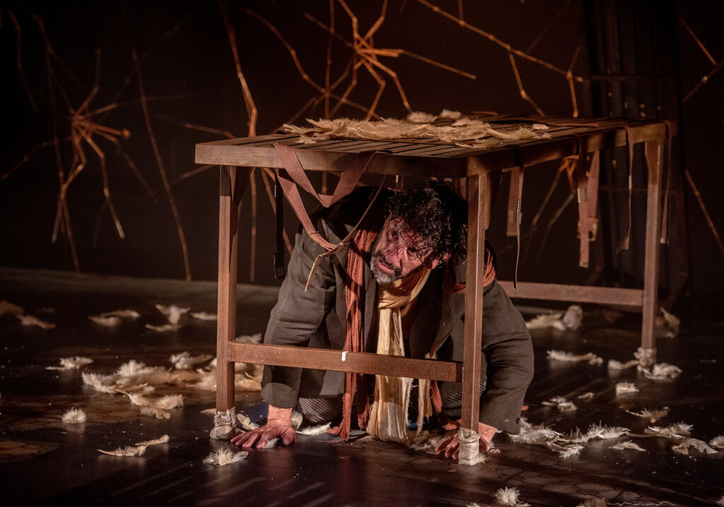 diario de um louco crédito priscila prade (3)