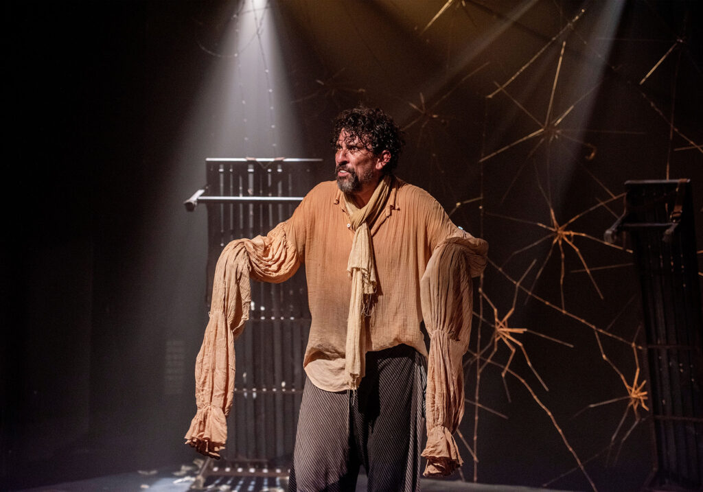 diario de um louco crédito priscila prade (1)