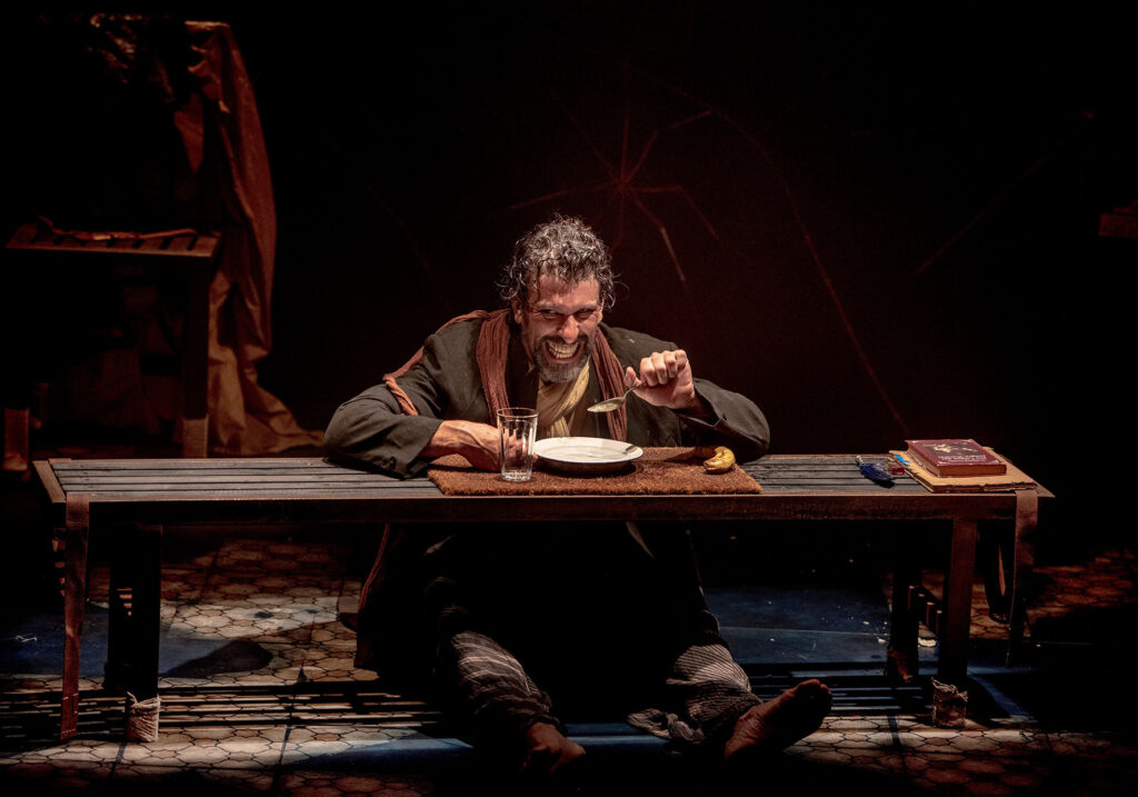 diario de um louco crédito priscila prade (6)