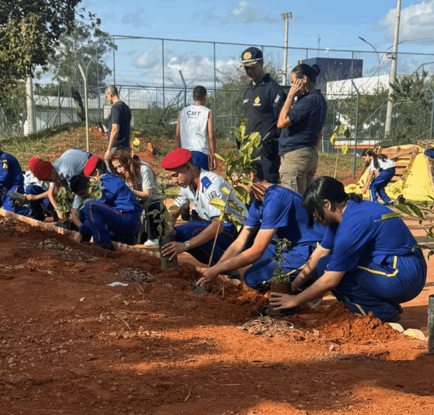 captura de tela 2025 06 05 192229