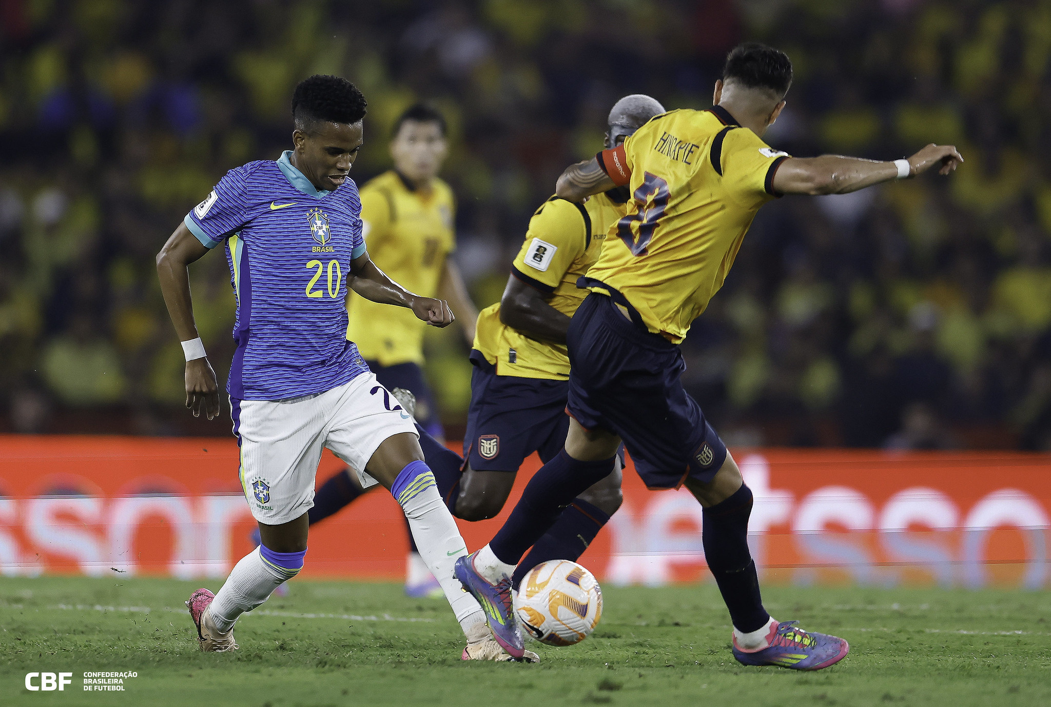 54570310464 d17c9c2ff2 k