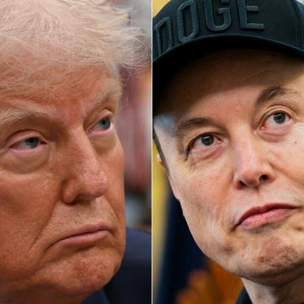 trump e musk