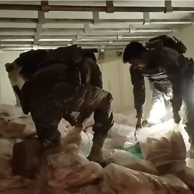 prf aprende 5,3 toneladas de maconha congelada em carga de peixe no interior de sp